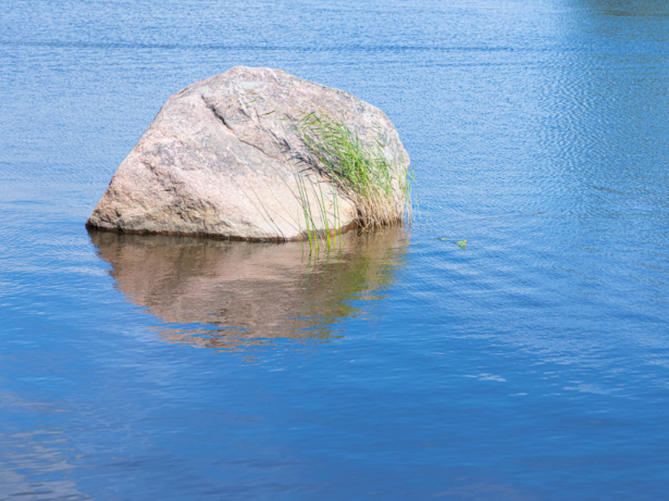 Låga vattennivåer i sjöar och vattendrag