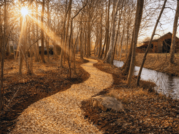 En ny stig genom Bolanders naturpark