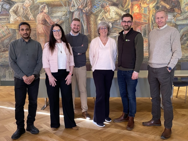 Nybro kommun säljer tre skogsområden – Diana Skog ny ägare