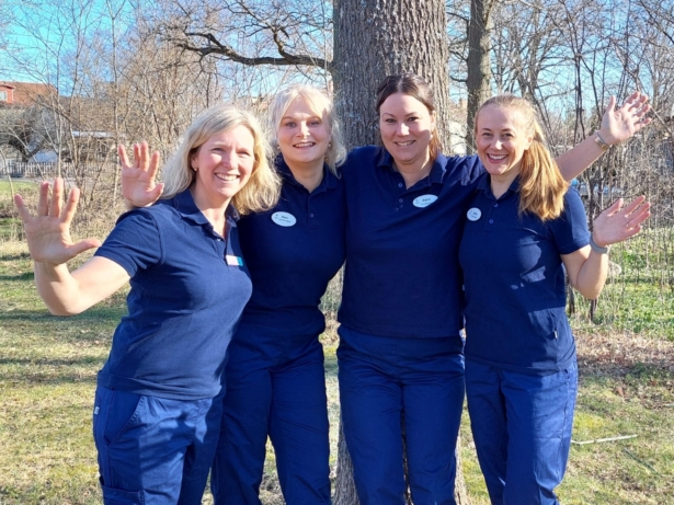 Hälsoträff – inspiration och kunskap för dig 67+