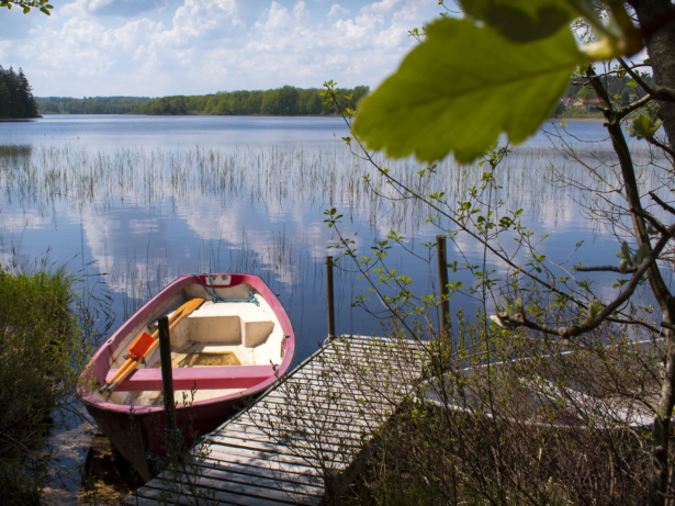 Skog, vandring och kulturarv – upptäck Örsjö och Alsjöholm i sommar