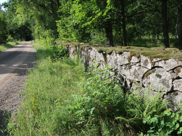Järnålder, brunnsliv och byhistoria – upptäck S:t Sigfrid och Kristvallabrunn